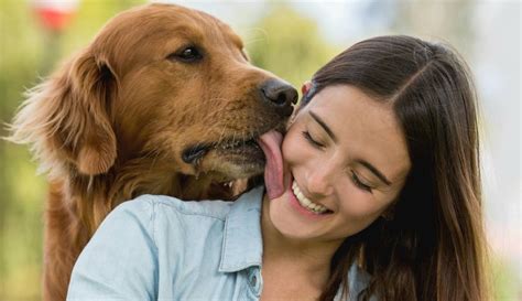 mujer follando con perro|Mujer folla por toda la habitación con perro grande